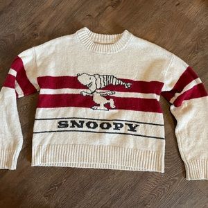 ae x peanuts youth sweater